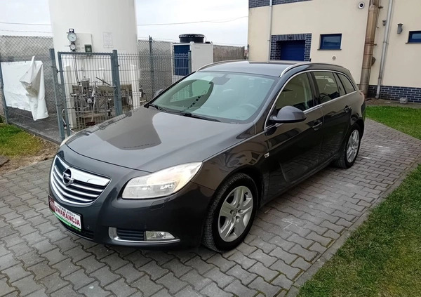 Opel Insignia cena 19850 przebieg: 205200, rok produkcji 2010 z Gniezno małe 92